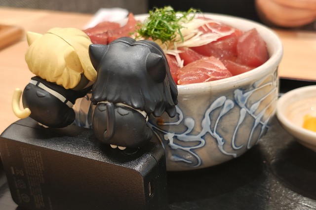 f:id:hitachibana:20250814130059j:image