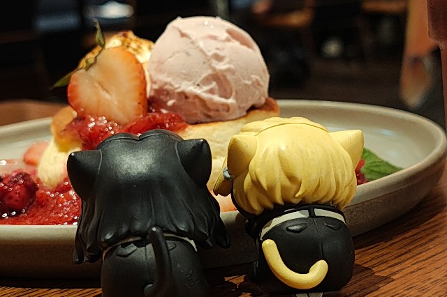 f:id:hitachibana:20250814131029j:image