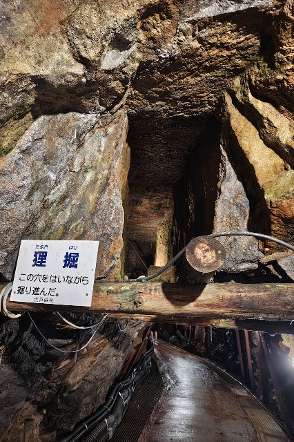 f:id:hitachibana:20250824002907j:image