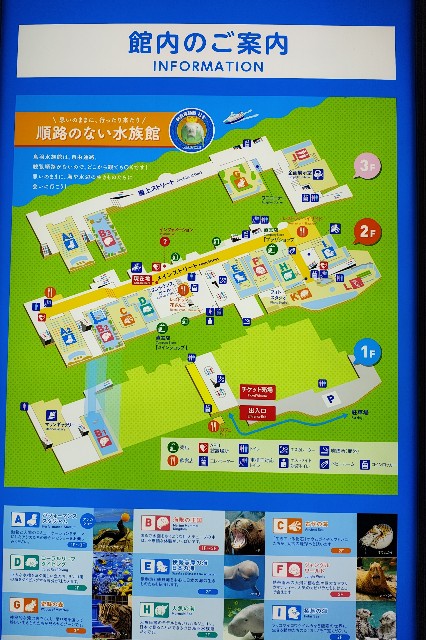 f:id:hitachibana:20251102225828j:image