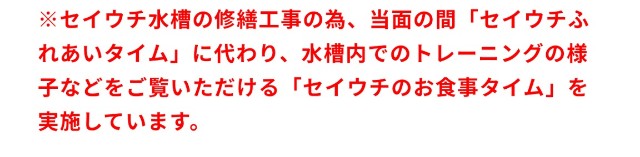 f:id:hitachibana:20251106090430j:image