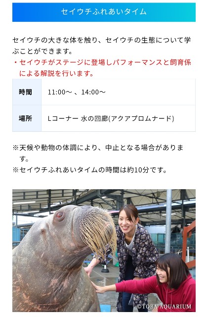 f:id:hitachibana:20251106090440j:image