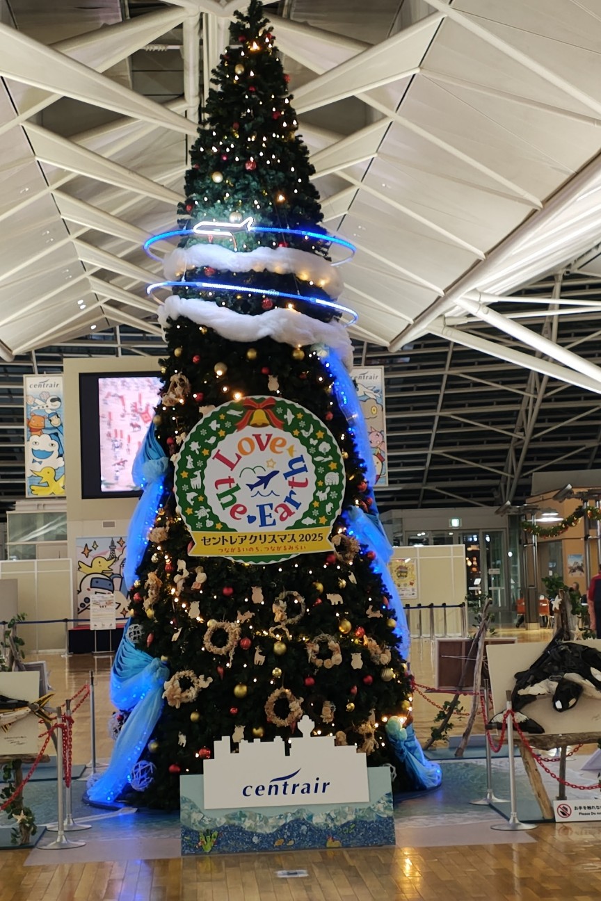 f:id:hitachibana:20251119083414j:image