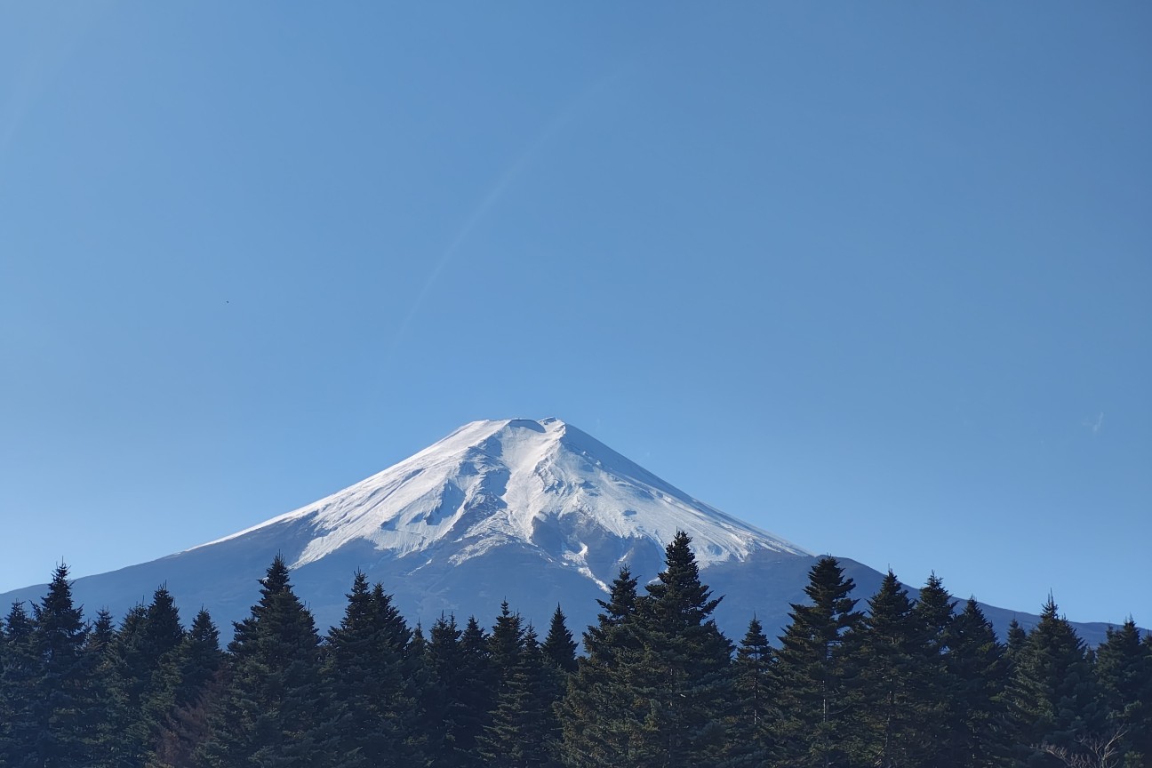 f:id:hitachibana:20251230222020j:image
