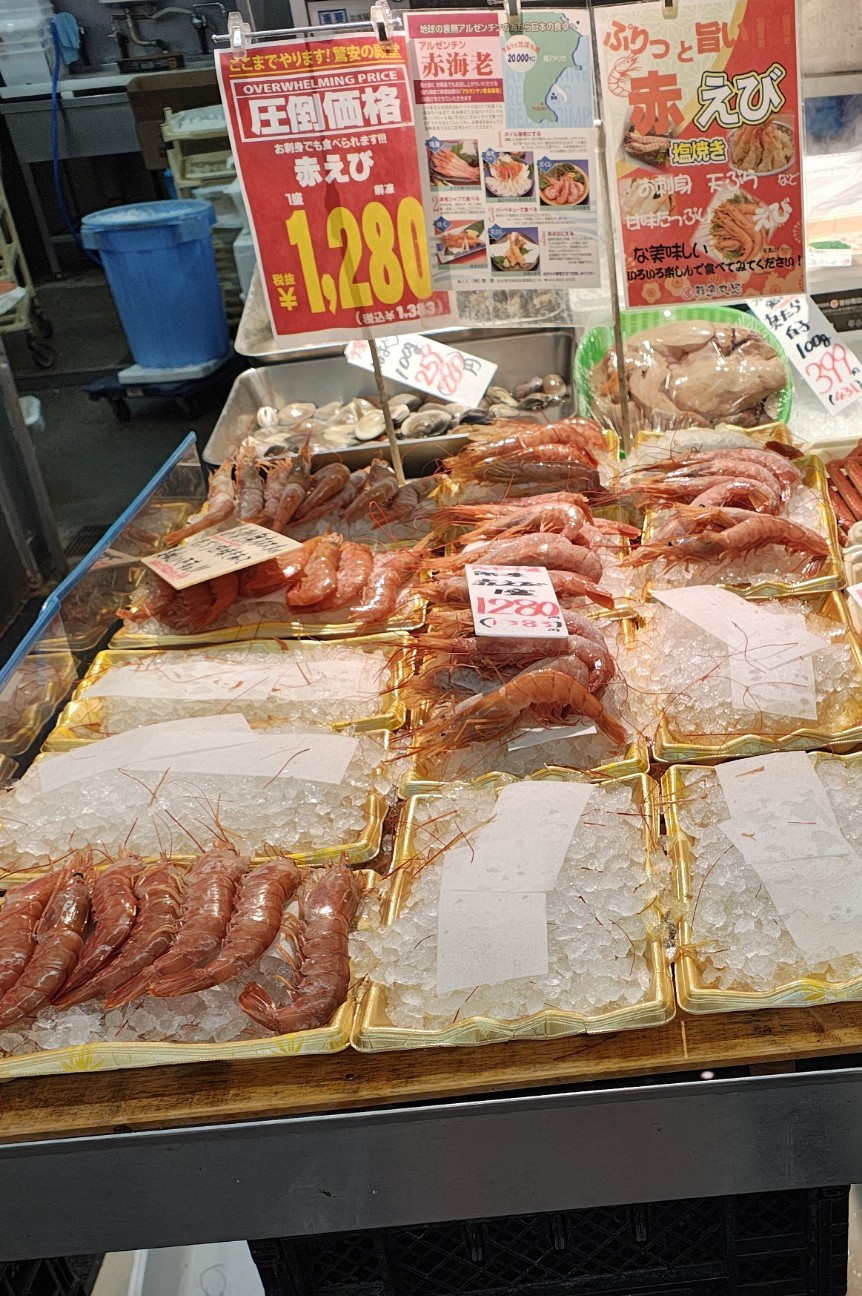 f:id:hitachibana:20260102161752j:image