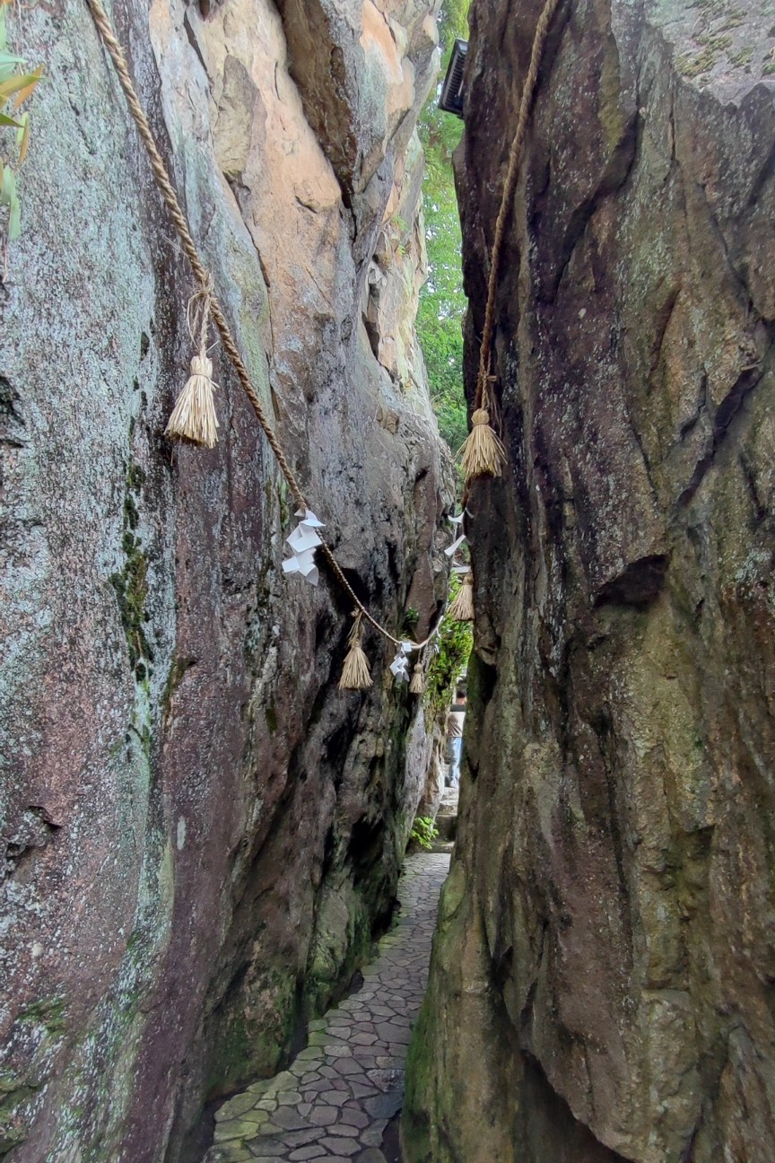 f:id:hitachibana:20260128082513j:image