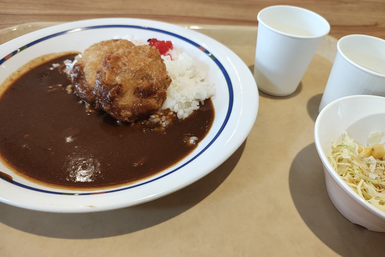 f:id:hitachibana:20260220211500j:image f:id:hitachibana:20260220211500j:image