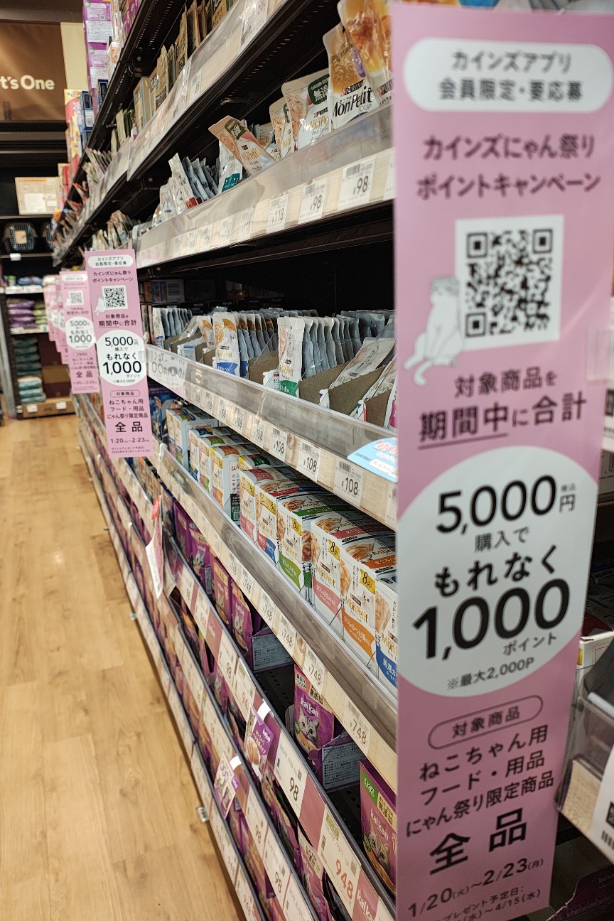 f:id:hitachibana:20260223224010j:image