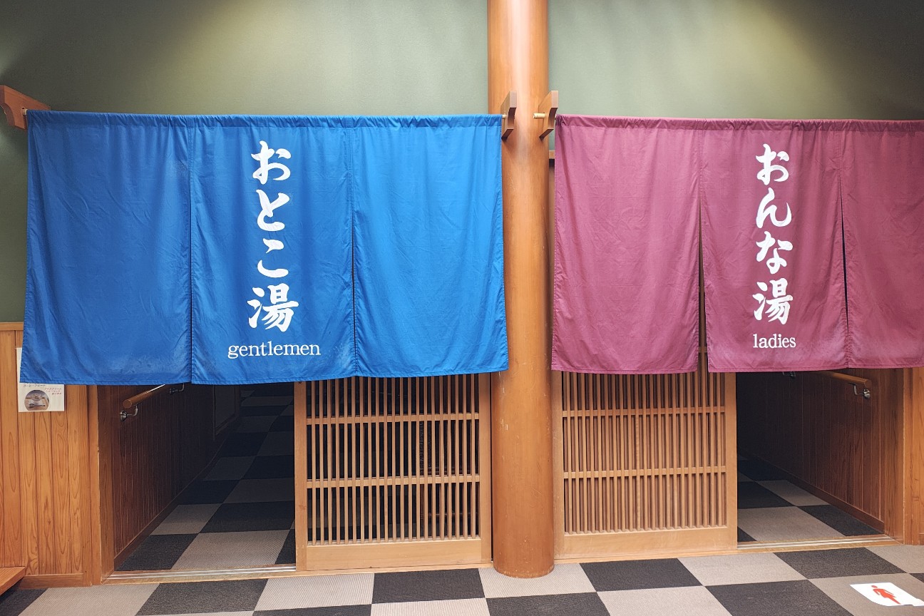f:id:hitachibana:20260225193445j:image