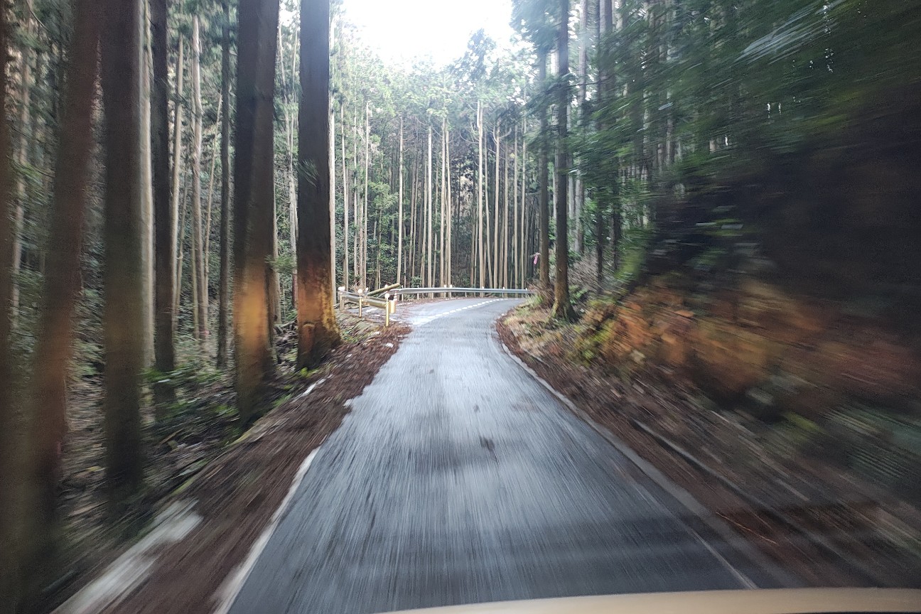 f:id:hitachibana:20260225214310j:image
