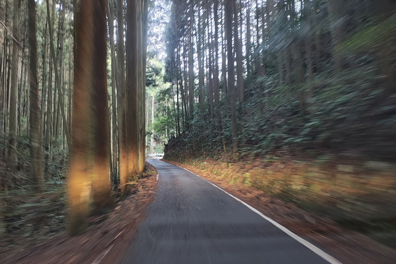 f:id:hitachibana:20260225214322j:image