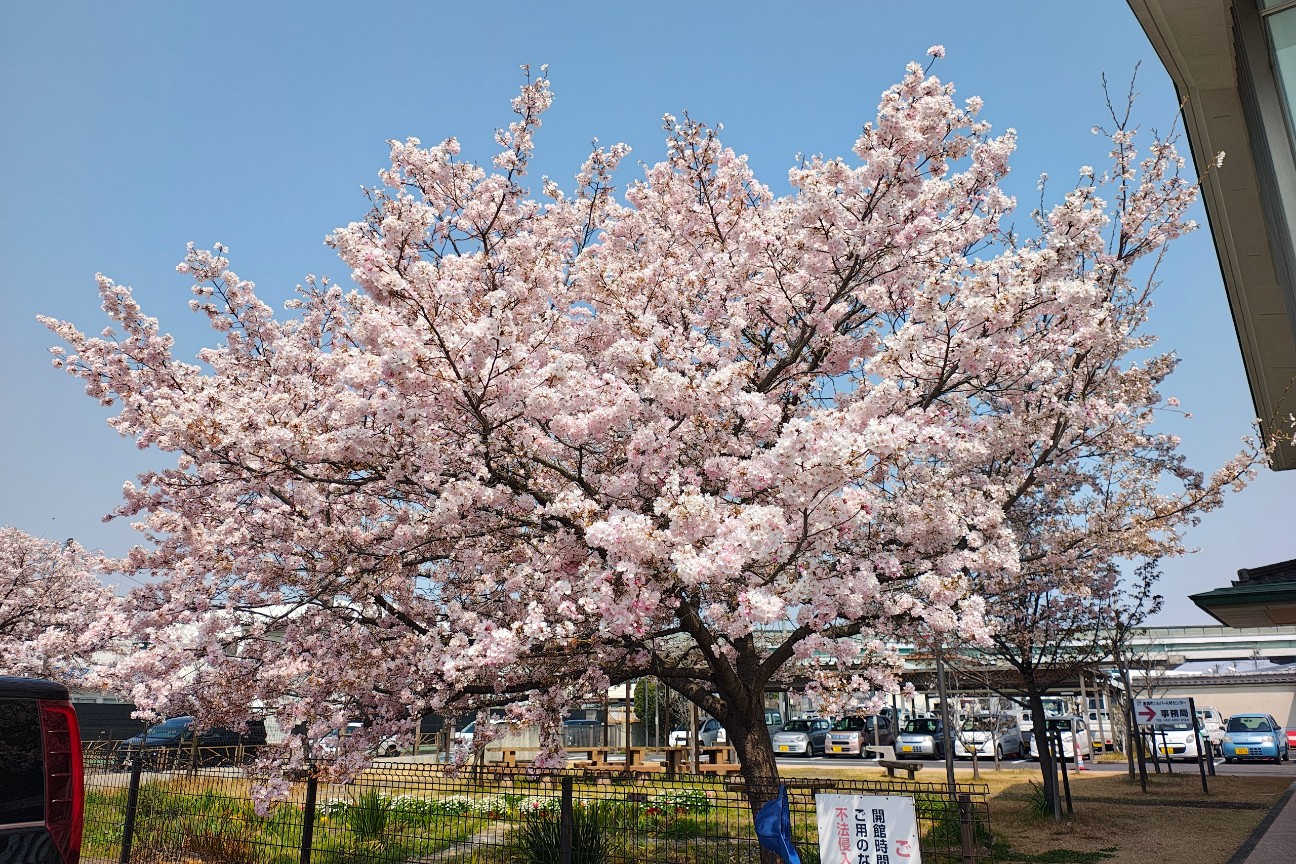 f:id:hitachibana:20260330201701j:image