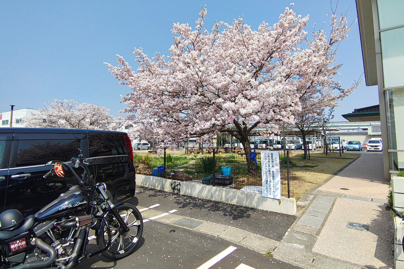 f:id:hitachibana:20260330201702j:image