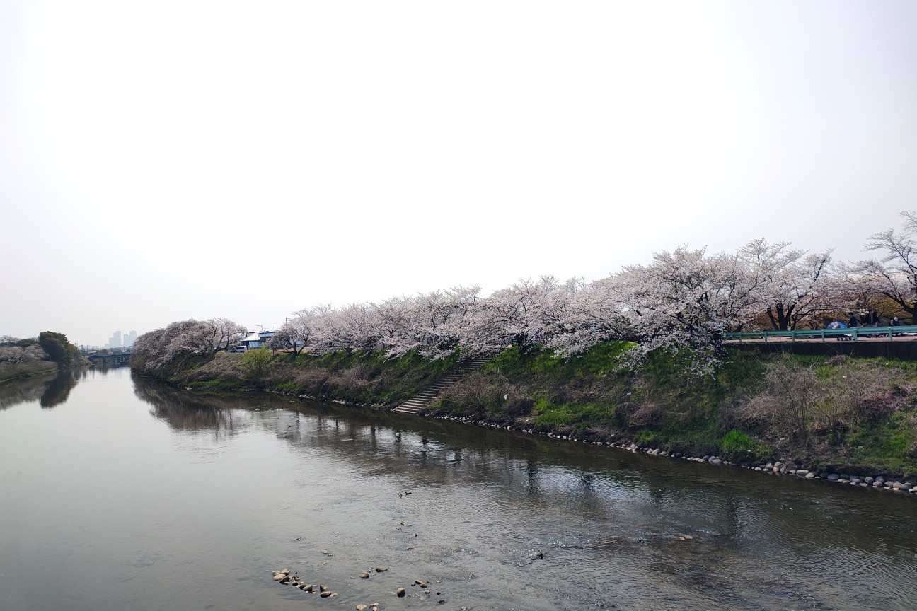 f:id:hitachibana:20260330201710j:image