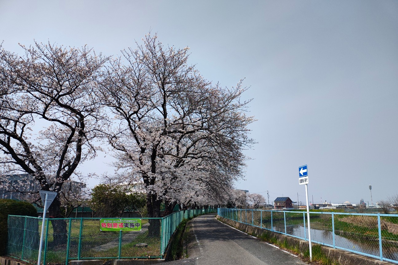 f:id:hitachibana:20260330201733j:image