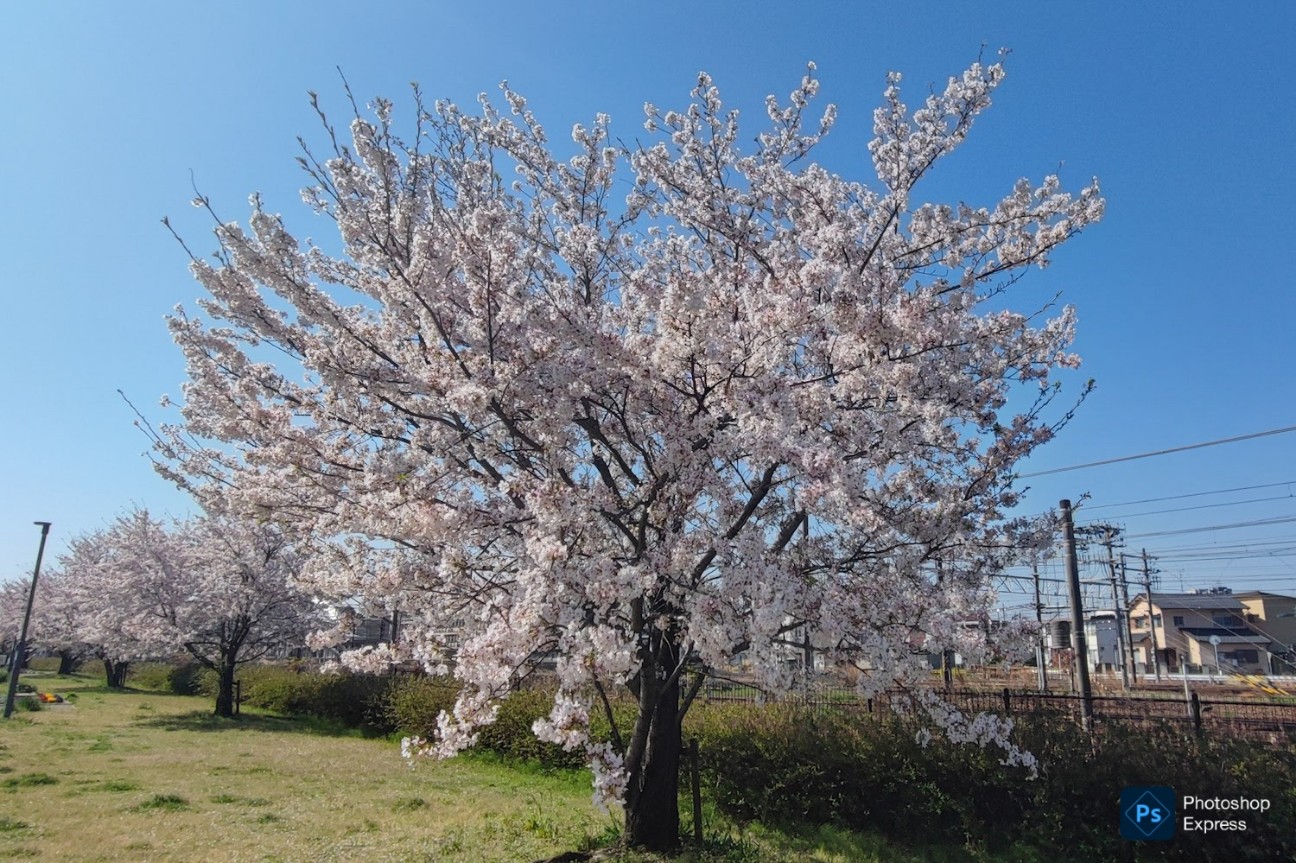 f:id:hitachibana:20260330201932j:image
