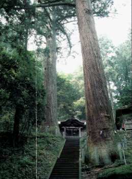 f:id:hitachikoku-taityo:20200423194506j:plain