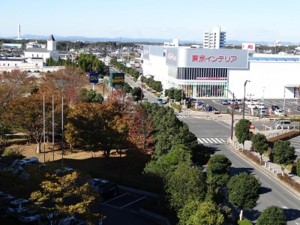 f:id:hitachinakatiku:20131113095430j:image f:id:hitachinakatiku:20131113095430j:image