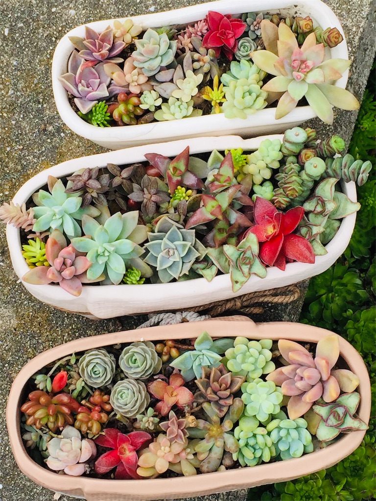 f:id:hito5824:20190321225036j:image