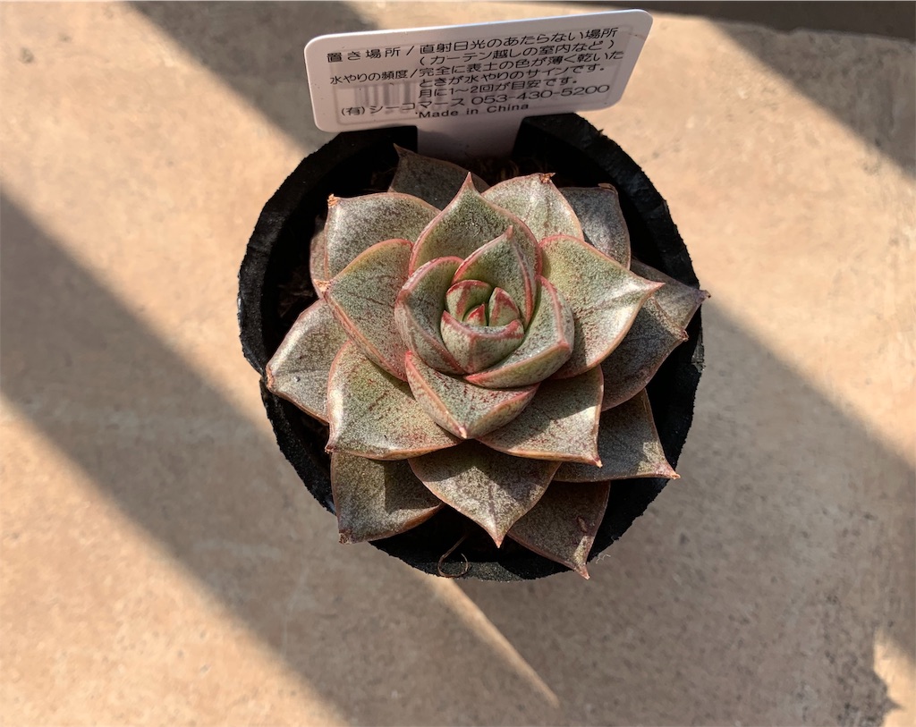 f:id:hito5824:20190407002128j:image