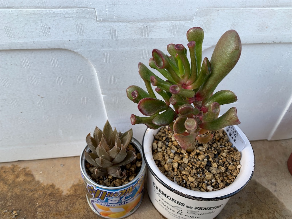 f:id:hito5824:20190410232543j:image