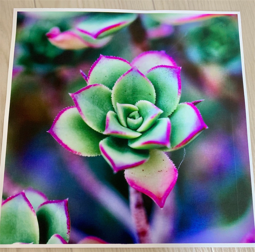 f:id:hito5824:20190414223815j:image