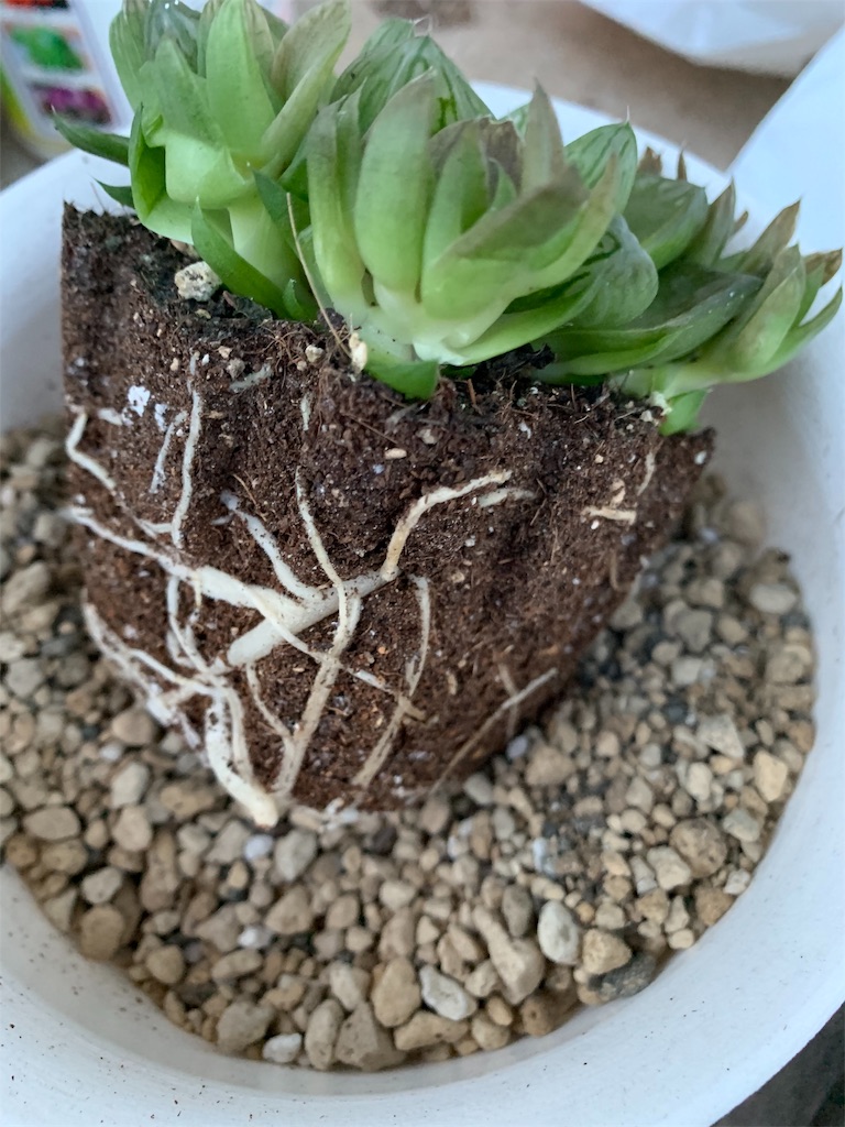 f:id:hito5824:20190617210846j:image