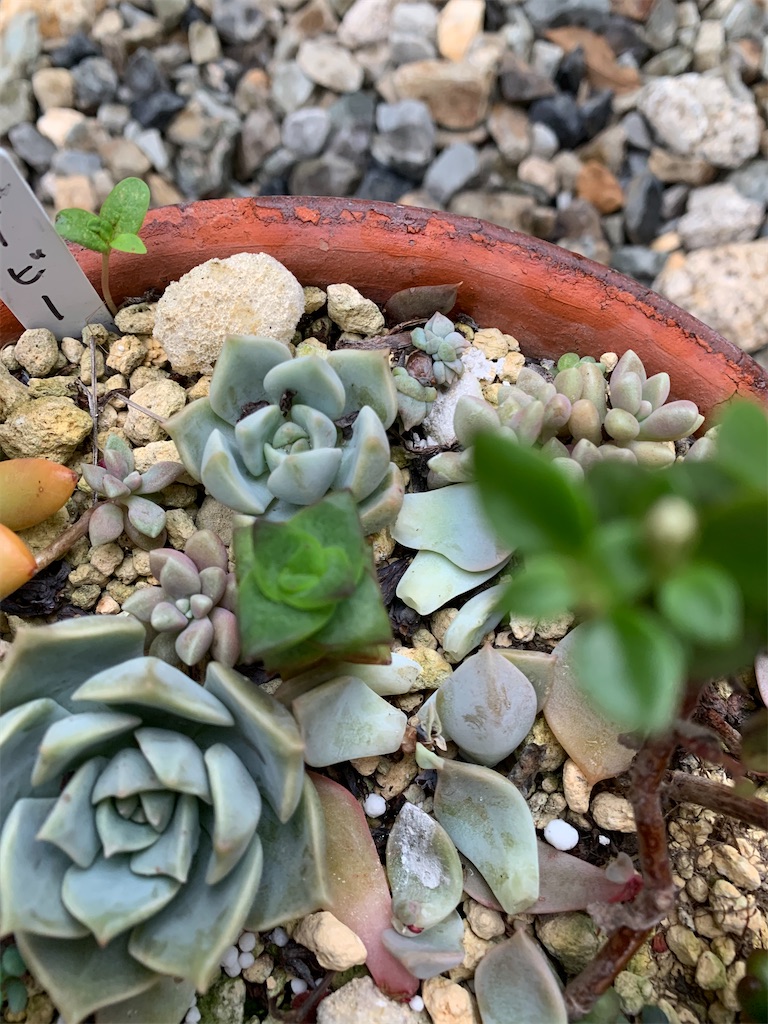 f:id:hito5824:20210611212423j:image f:id:hito5824:20210611212423j:image