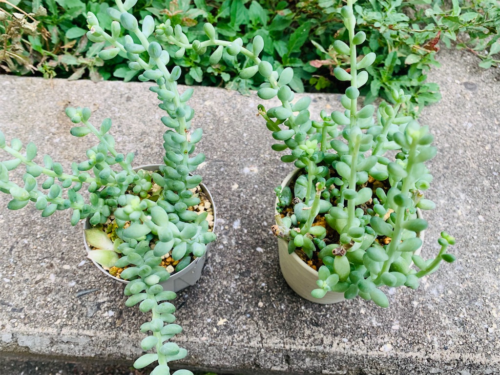 f:id:hito5824:20241017001703j:image