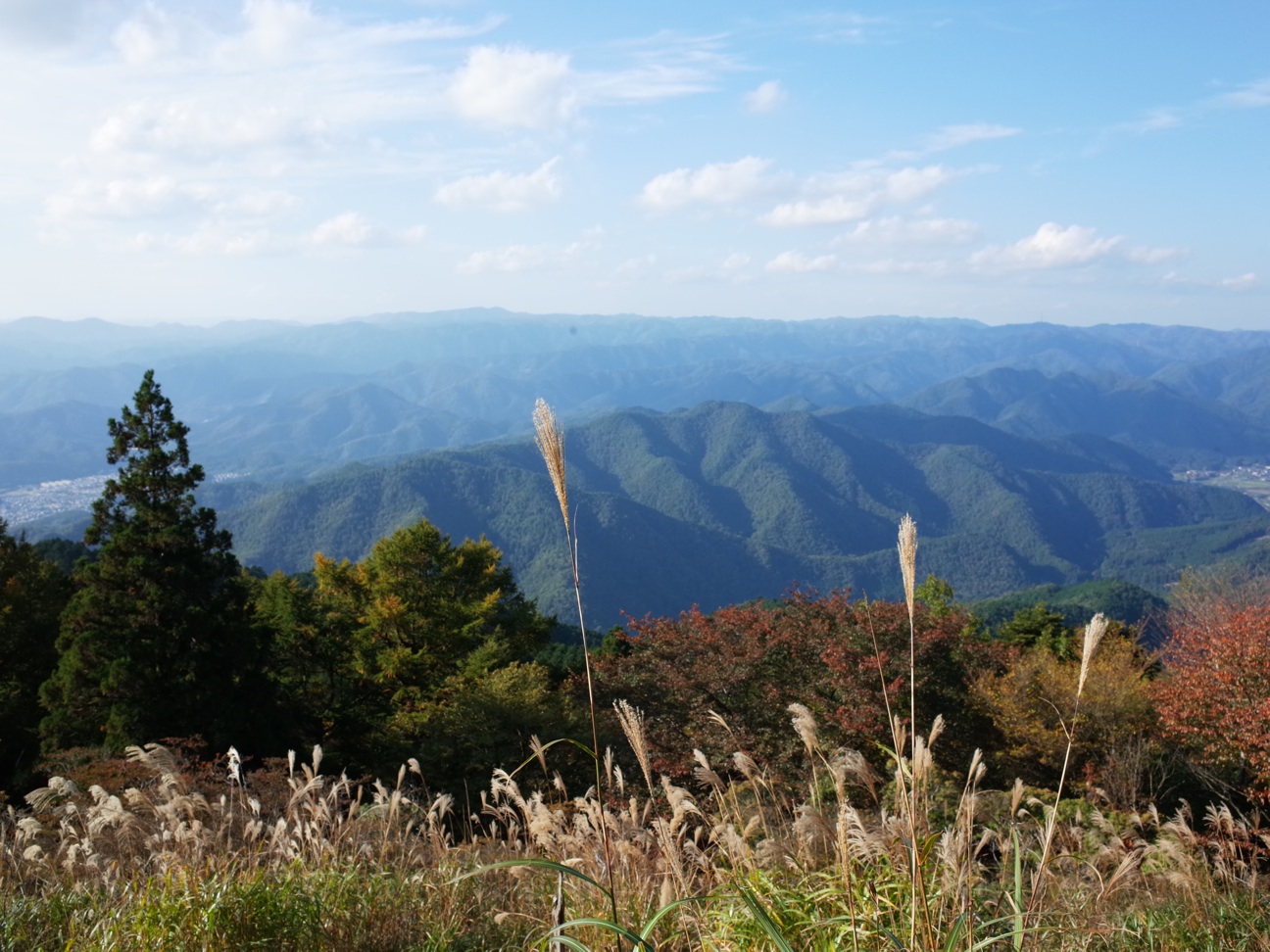 f:id:hitode909:20141029103501j:plain