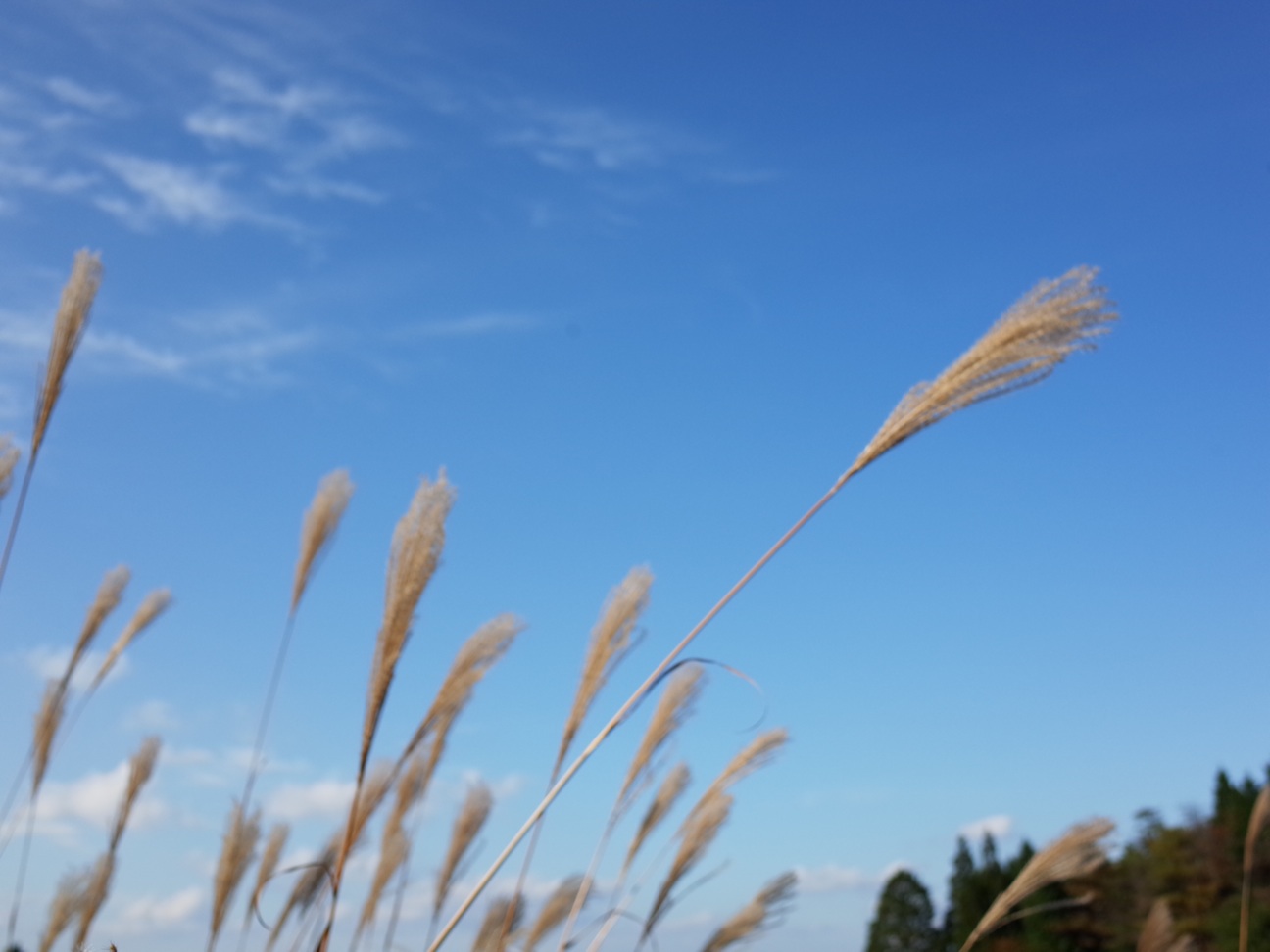 f:id:hitode909:20141029103531j:plain