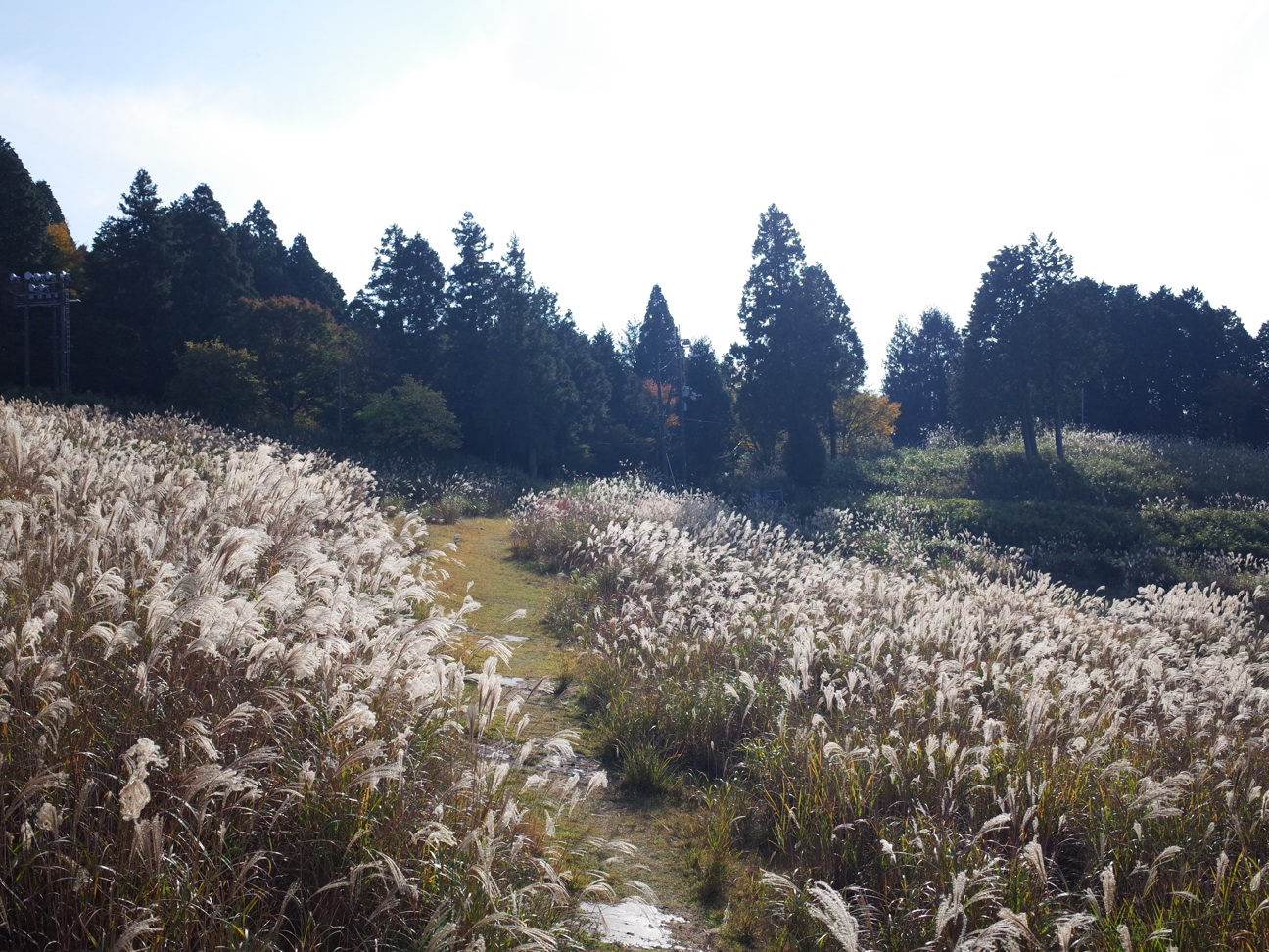 f:id:hitode909:20141029103902j:plain