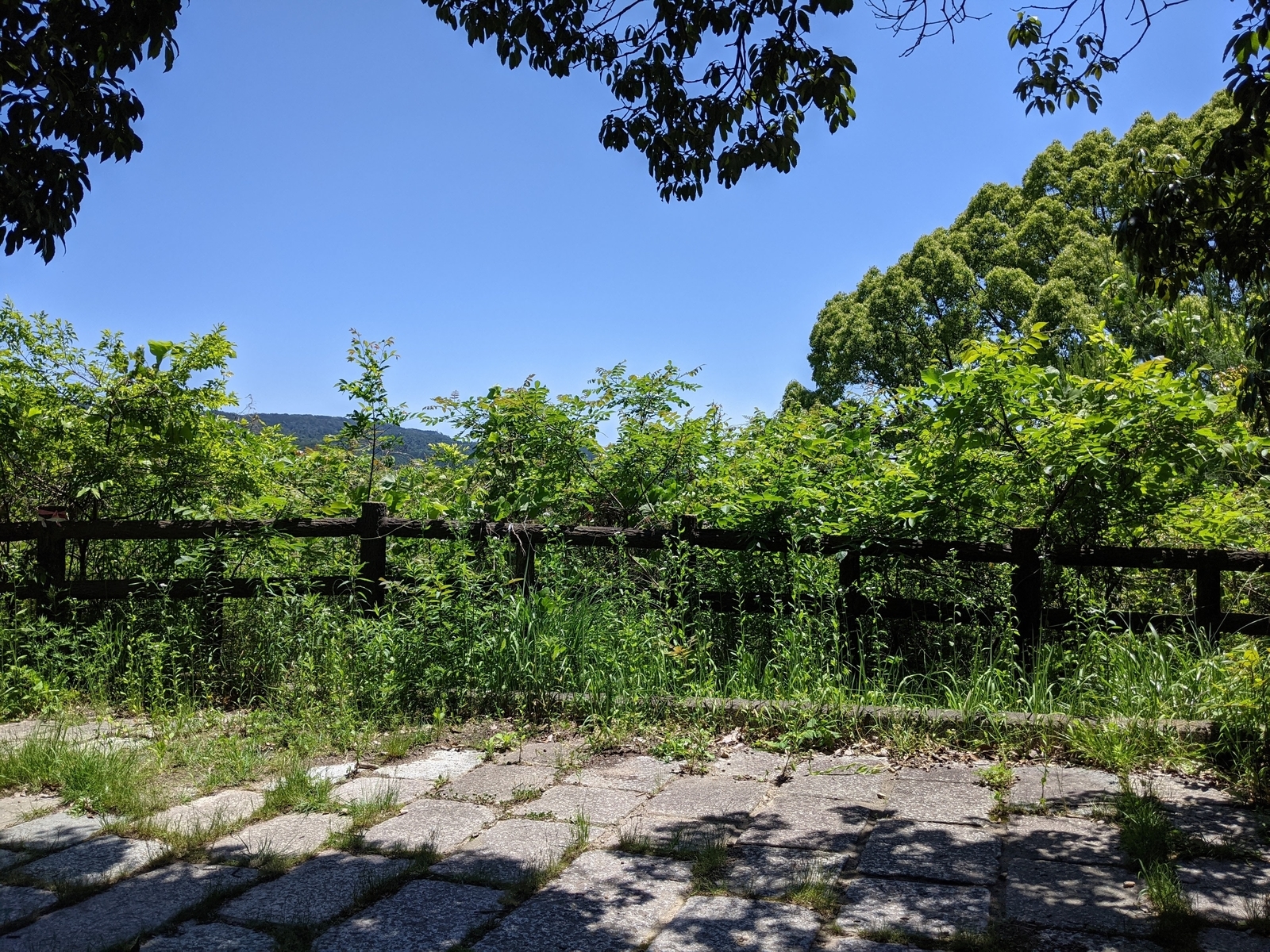 f:id:hitode909:20210531194433j:plain