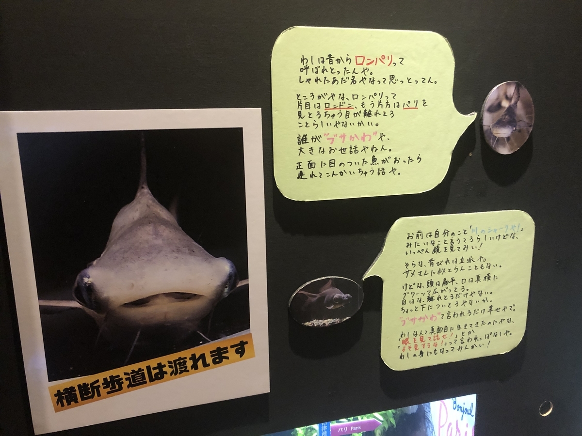f:id:hitodehanai:20200903224455j:plain f:id:hitodehanai:20200903224455j:plain