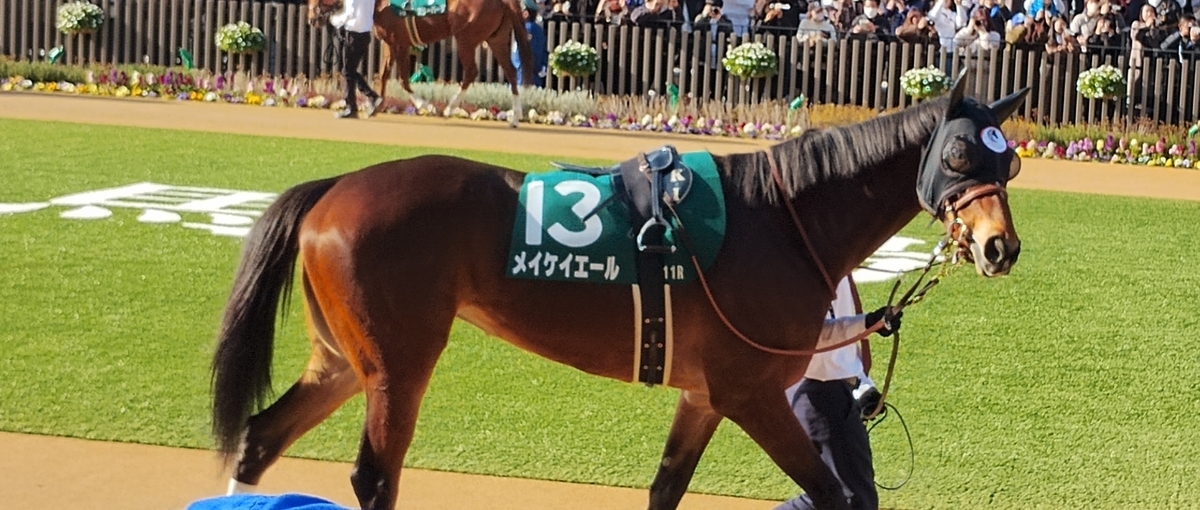 現地購入的中単勝馬券【2歳新馬戦（デビュー戦/初勝利）】スイープトウショウ 現地購入的中単勝馬券【2歳新馬戦（デビュー戦/初勝利