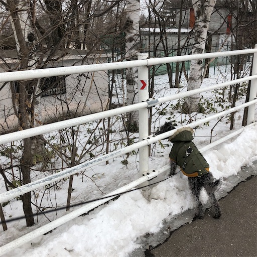 f:id:hitohito1223:20200216214944j:image