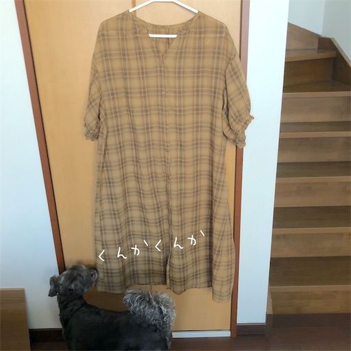 f:id:hitohito1223:20200715214541j:plain