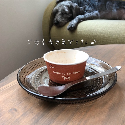 f:id:hitohito1223:20200802200758j:plain