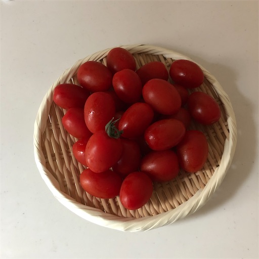 f:id:hitohito1223:20200830205059j:plain