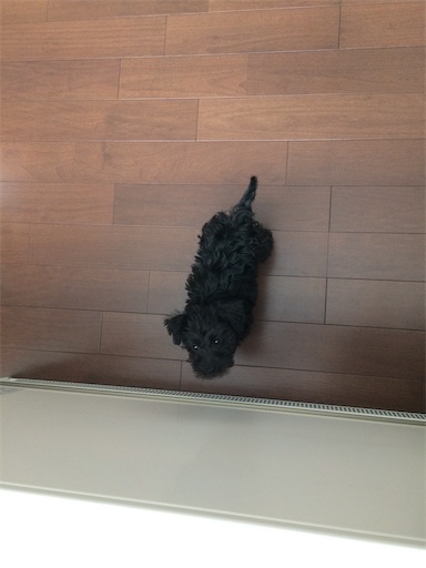 f:id:hitohito1223:20200905092744j:plain