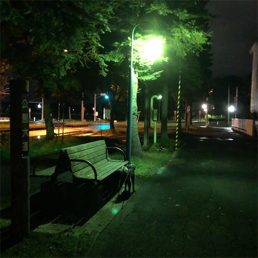 f:id:hitohito1223:20200912202025j:plain f:id:hitohito1223:20200912202025j:plain