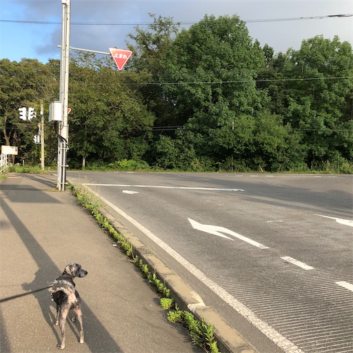 f:id:hitohito1223:20200922202440j:plain f:id:hitohito1223:20200922202440j:plain