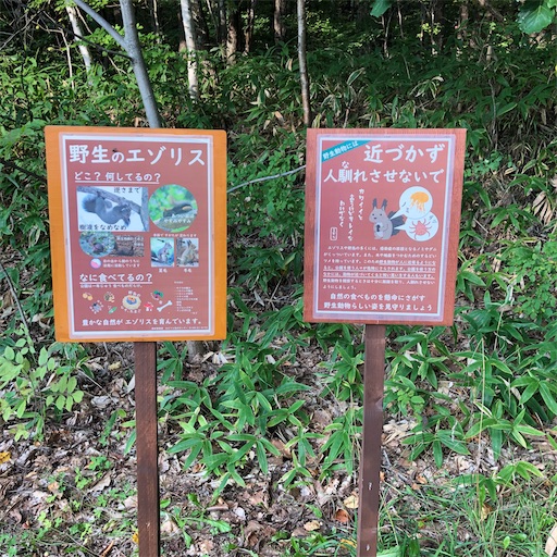 f:id:hitohito1223:20200922202443j:plain f:id:hitohito1223:20200922202443j:plain