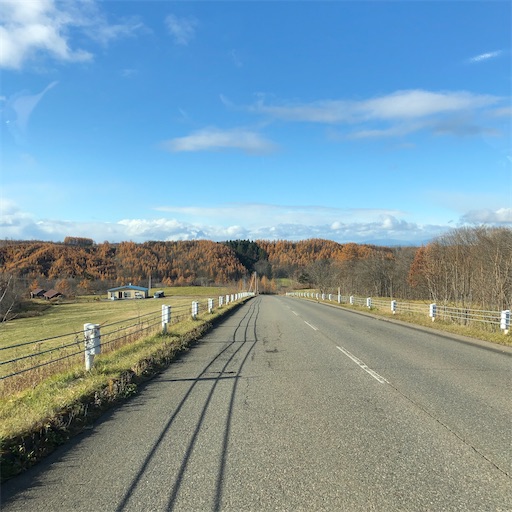 f:id:hitohito1223:20201113153557j:plain f:id:hitohito1223:20201113153557j:plain