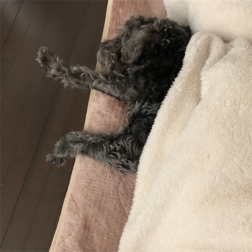 f:id:hitohito1223:20201129093150j:plain