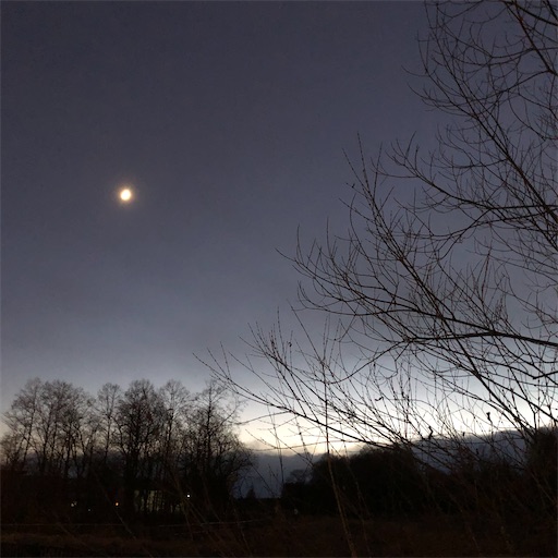 f:id:hitohito1223:20201219202844j:plain