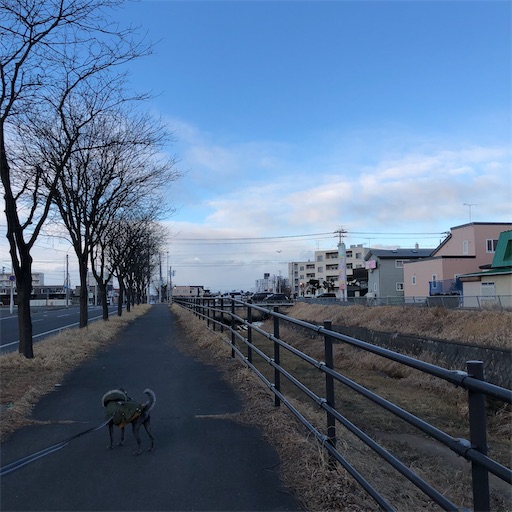 f:id:hitohito1223:20210101191535j:plain