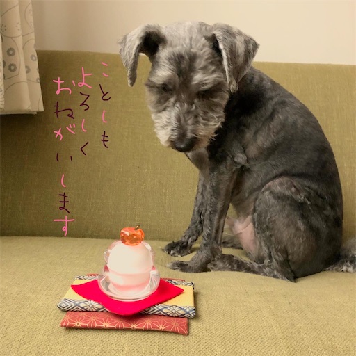 f:id:hitohito1223:20210101191538j:plain