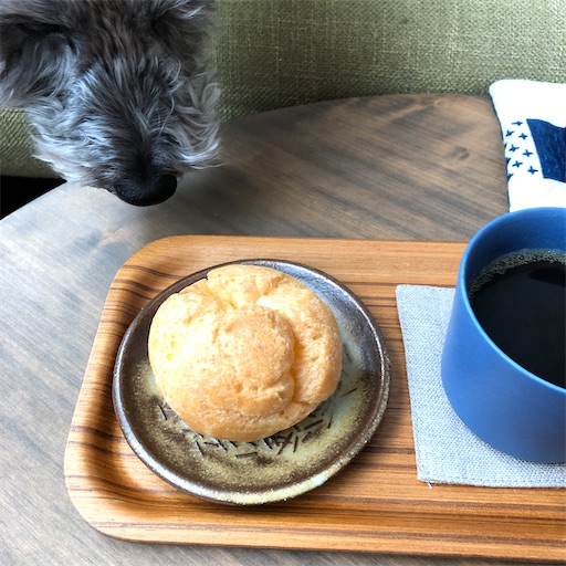 f:id:hitohito1223:20210123223035j:plain