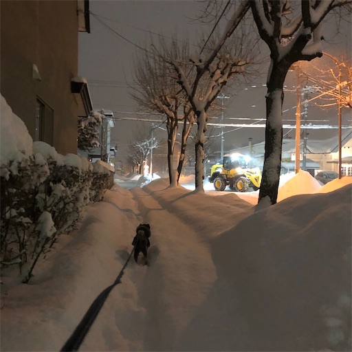 f:id:hitohito1223:20210129195807j:plain